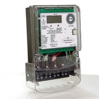 Reference Smart Meter